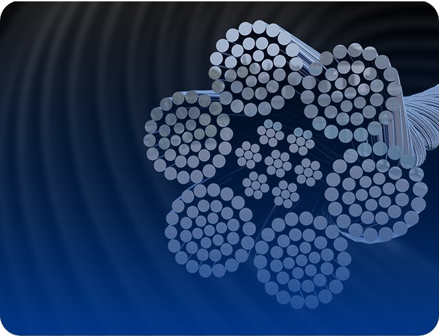 毛细管-应用案例