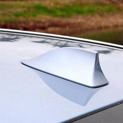 1766993227700617.jpg 鲨鱼鳍.jpg