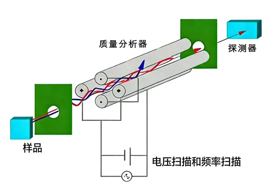 1775873385334087.png RGA质谱检测原理.png